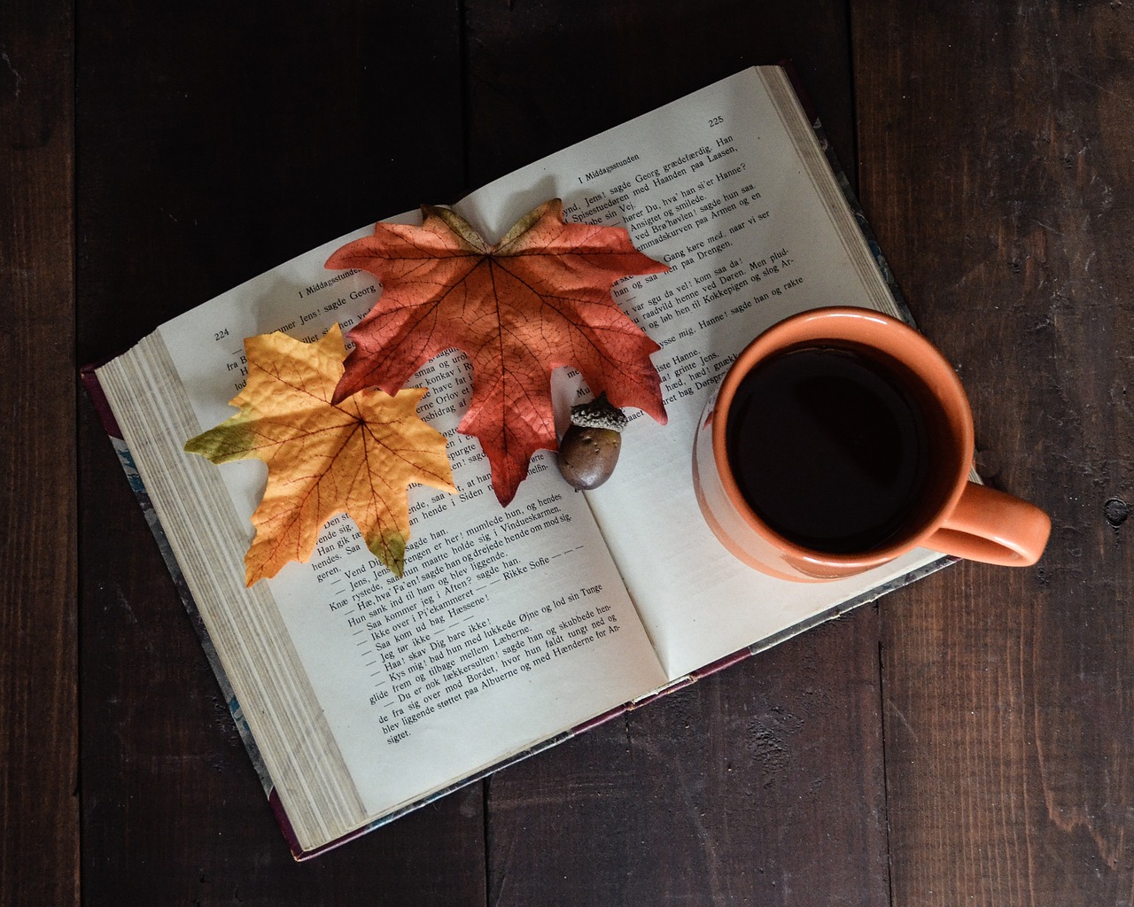 pubblicare un libro gratis