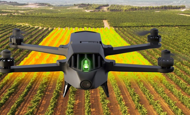 drone parrot bluegrass